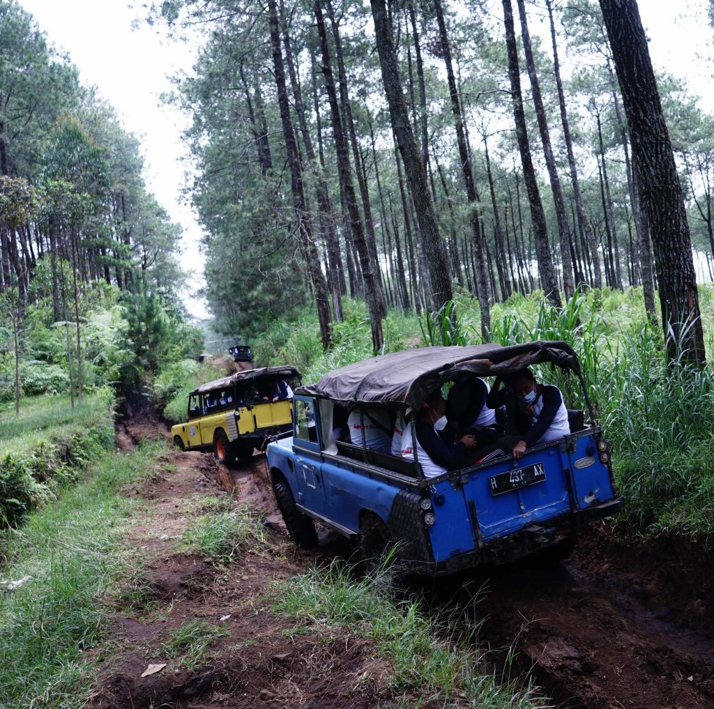 Jasa Outbound dan Team Building Pacitan Memorable